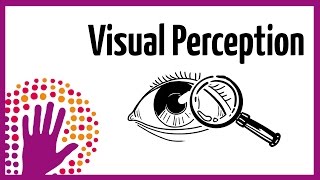 Visual Perception – How It Works [upl. by Loveridge]