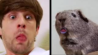 CLASSIC SMOSH COMPILATION 1 HOUR 1 [upl. by Etnuahs]