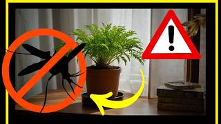 ➡️ REVOLUCIONARIO 7 Plantas que Repelen Mosquitos 🦟 Cambian tu ambiente para Siempre [upl. by Keiryt596]