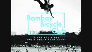 Bombay Bicycle Club  Dust On The Ground [upl. by Assyle746]