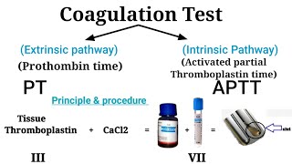 Prothombin time test  Coagulation Test Clotting factor [upl. by Suravaj]