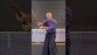 Using a BOKKEN Tsuki sword training basics AIKIDO PART 3 [upl. by Papst]