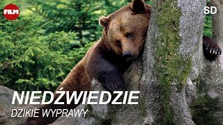 NIEDŹWIEDZIE  seria Dzikie wyprawy [upl. by Solracesoj135]