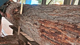 red giant wood sawing process in sawmill to make 3x40x400cm boards [upl. by Anaela]