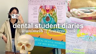 dental school study vlog 🦷 first ever week as a dental student  unimelb notetaking productive💀📑 [upl. by Ayote]