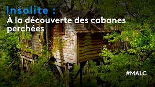 Insolite  à la découverte des cabanes perchées [upl. by Adoree]