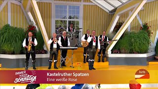 Kastelruther Spatzen  Eine weiße Rose Immer wieder sonntags 30062024 [upl. by Auqenes]