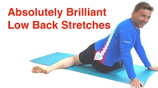 The Best Low Back Stretches  Lower Back Pain Relief Routine With FREE Exercise Sheet [upl. by Reifel]