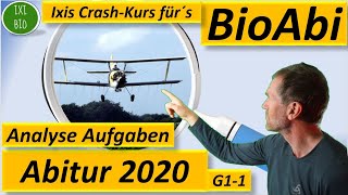 Training Bio Abitur 2022  Abitur Biologie 2020 analysiert  chemische Synapse  Insektizide [upl. by Ahsea]