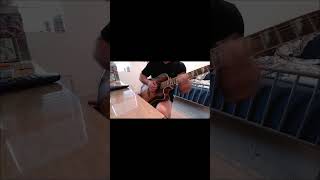 Polyphia Goat Day 1 polyphia goat cover guitar [upl. by Gauthier]