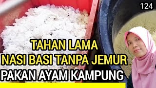 pakan alternatif ternak ayam kampungnasi basi pakan ayam kampungcara fermentasi pakan ayam kampung [upl. by Ahsiela]