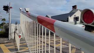 Night Mode Porthmadog Level Crossing [upl. by Hannavas]