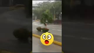 Volvieron los arroyos de Barranquilla 😁😁😁😁 [upl. by Tracee]