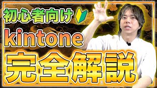 この動画でkintoneが分かります [upl. by Asssilem]