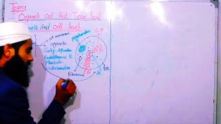 organelles  Cell amp Tissue Level Biology in College  1st year biology  chap1  Lec 5  50k [upl. by Heigl]