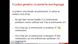 2 Trascrizione Dal DNA allRNA [upl. by Redford]