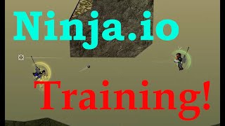 Ninjaio Training Video [upl. by Lalad912]