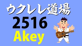 2516 Akey Backing Track for ukulele [upl. by Ella]