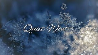 Quiet winter [upl. by Maitland]