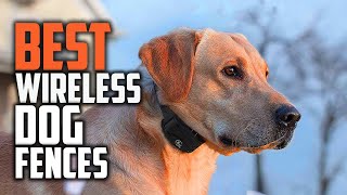 Top 5 Best Wireless Dog Fences Review in 2022  Waterproof Collar for Pets [upl. by Ilowell]