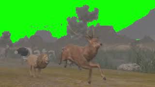 Mammal Stampede Green Screen for Sticknodespro6522 [upl. by Son828]