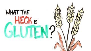 What The Heck Is Gluten [upl. by Becca]