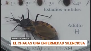 EL CHAGAS UNA ENFERMEDAD SILENCIOSA [upl. by Tihom]