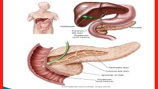 When Should I Worry About Left Side Pain [upl. by Sulihpoeht]