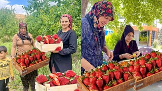 ANNEM KÖY EVİ TAZE ÇİLEK HASADI  ODUN ATEŞİNDE ÇİLEK REÇEL YAPIMI [upl. by Thekla82]