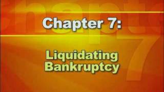 Bankruptcy Basics  Part 2 Types of Bankruptcy [upl. by Dlorad]