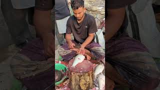 Amazing Big Poti Fish Super First Cutting fish fishcutting fishcuttingskills youtubeshorts [upl. by Riatsala457]