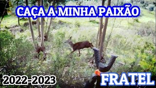 2ª MONTARIA NO FRATEL  CASTELO BRANCO 20222023 [upl. by Rashida]