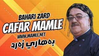 جەعفەر ماملێ  ئەوە پەت نییە میداڵی ئیفیخارە  بەهاری زەرد  Jafar Mamle  awa pat niya bahari zard [upl. by Nutsud19]