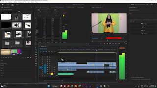 Cara Record Audio di Adobe Premiere Pro [upl. by Nedrud]