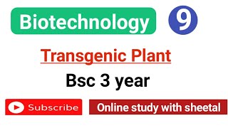 Transgenic plant in biotechnology hindi  transgenic plant bsc 3 year [upl. by Auhsoj787]