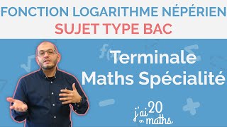 Sujet type bac  Fonction logarithme népérien  Terminale Maths Spécialité [upl. by Kali]