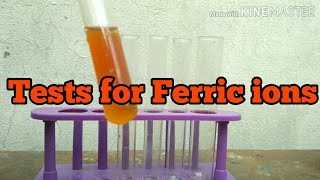 Tests for Ferric ions [upl. by Nageem]