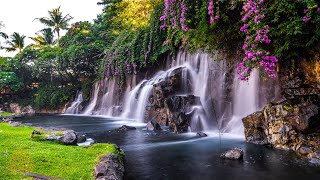 Relaxing Zen Music with Water Sounds • Peaceful Ambience for Spa Yoga and Relaxation [upl. by Neerehs677]