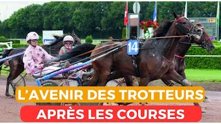 Lavenir des chevaux après les courses en France [upl. by Eniahs]