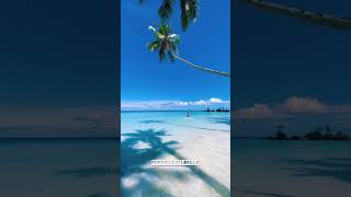 Balabac Island Philippines shorts shortvideo shortsfeed youtubeshorts [upl. by Laurella]