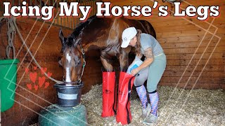 Icing My Horses Legs  How I Ice My Horse  Using Drew Boots to Ice • EQUESTRIAN VLOG [upl. by Aderfla514]