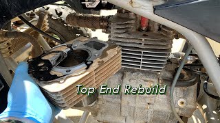 TRX250EX Top End Rebuild and Differential Fluid Change [upl. by Eatnoled934]