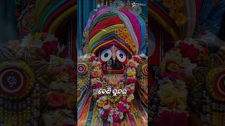 ଫୁଲ ଠାରୁ ତୋ ରୂପ ବେଶୀ ସୁନ୍ଦର🥀🤗❤️ trending love viralvideo odiasong bhajan status exploresong [upl. by Leuams6]