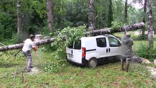 Tronçonnage arbre Bouzic voiture [upl. by Llenahc]