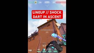 LINEUP  SOVA SHOCK DART IN ALL OVER ASCENT valora valorant valoranatgame riotgame sovalineup [upl. by Trinidad]