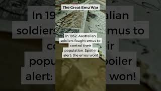 The Great Emu War [upl. by Roch]