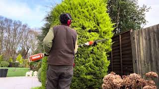 Conifer Tidying amp Sorting out a Phormium in a Border [upl. by Reube]