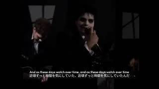 【マイケミ】Vampires Will Never Hurt You MV【和訳歌詞付き】 [upl. by Ikilisav483]