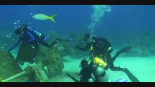 Teenagers diving with sharks in Underwater Family Adventure at The Bahamas [upl. by Nuj379]