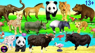 Animals Tiger Leopard Clouded Leopard Snow Leopard Panda Elephant Brown Bear Horse Gaur Yak 13 [upl. by Aliuqa]